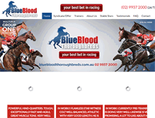 Tablet Screenshot of bluebloodthoroughbreds.com.au
